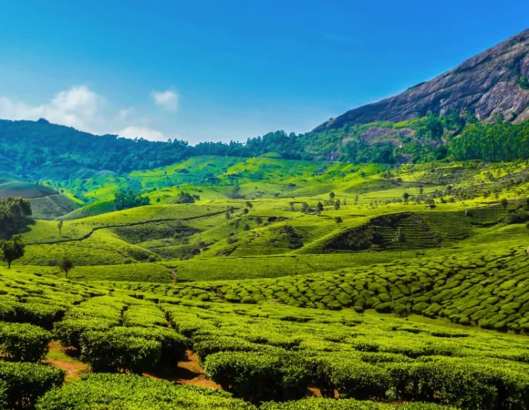Enriching Cochin Munnar Tour Package (3Nights / 4Days)