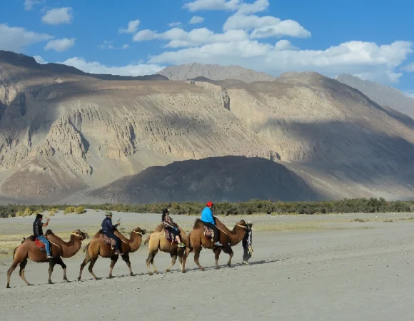Magnificent Leh Sightseeing Tour Packages  (5 Nights / 6 Days)