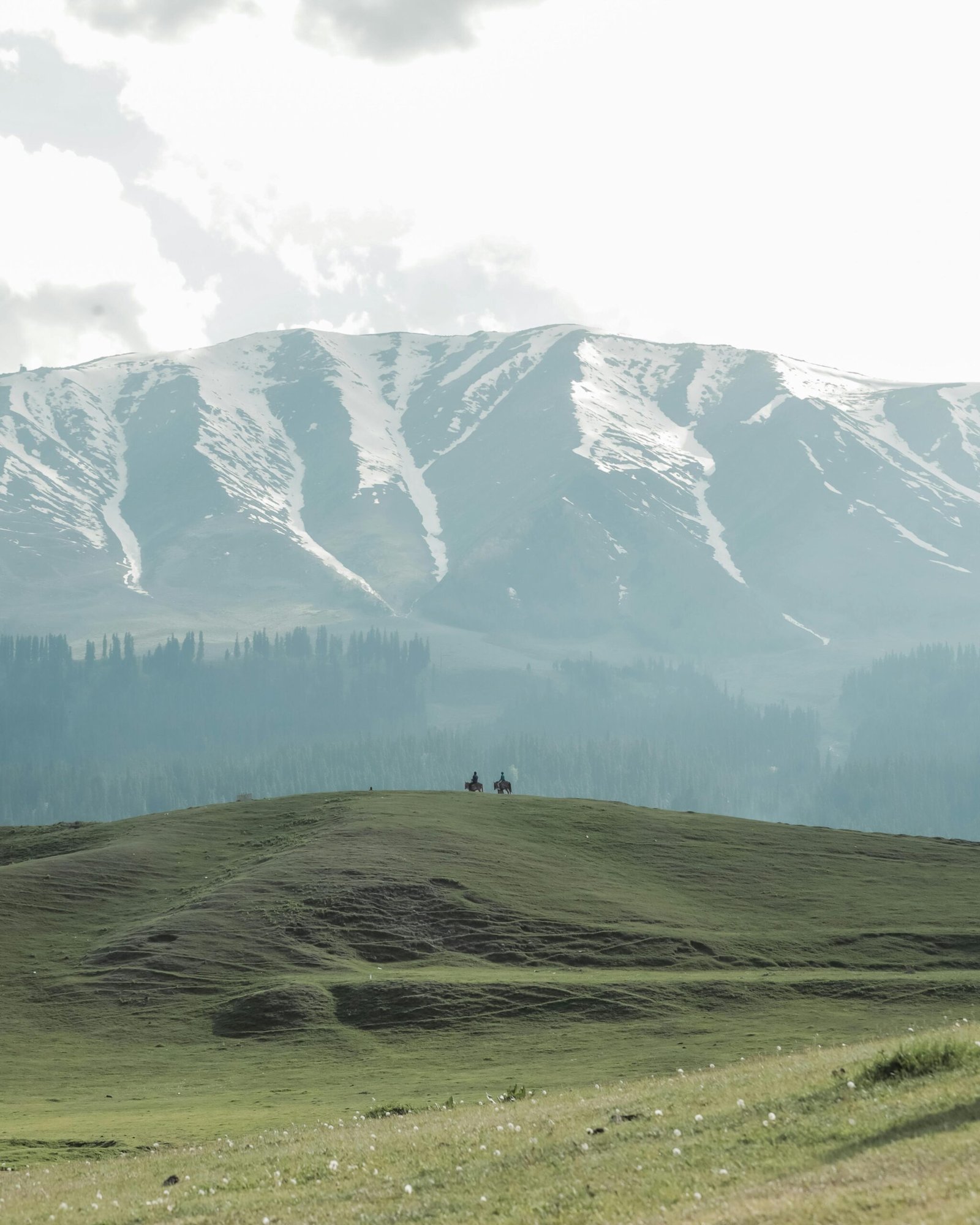 Kashmir