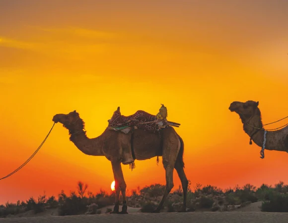 Desert Delight Rajasthan Tour Package (3 Nights / 4 Days)