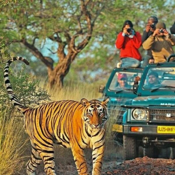 Golden Triangle Holiday Tour Package for 8 Days - Ganesh Travelz